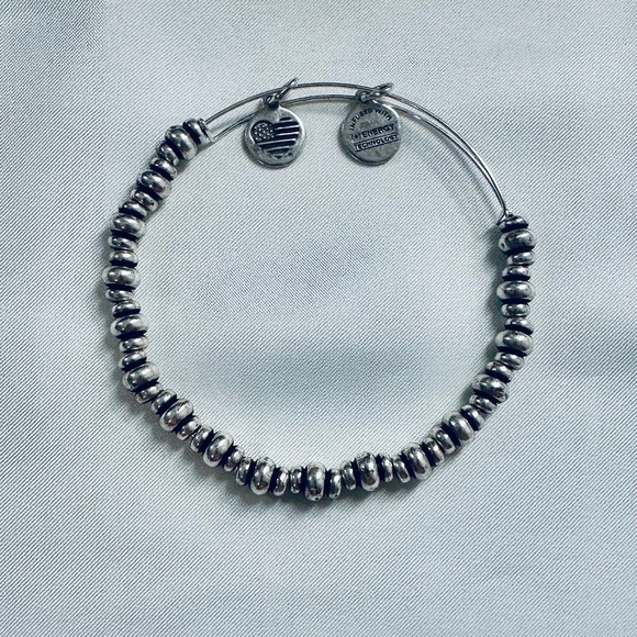 Alex and Ani Power of Positivity Nile Beaded Rafaelian Silver Charm Bracelet - Picture 3 of 6